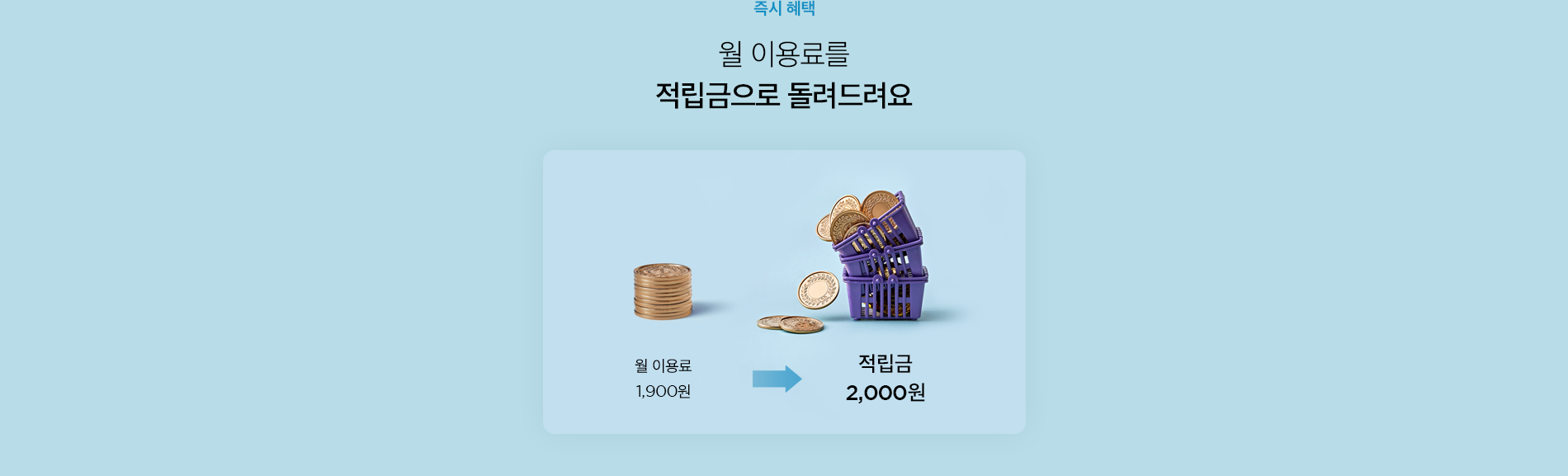 적립금 2,000원, 할인쿠폰팩 최대 24,000원, 구매적립 최대 7%